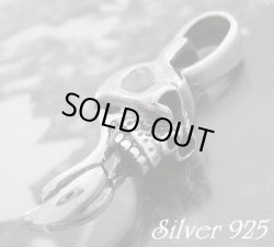 画像1: ベロスカル大　トップ