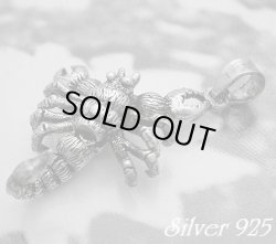 画像1: スコーピオン　トップ