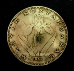 画像1: ハンガリー２０フォリント　コインコンチョ　直径26mm
