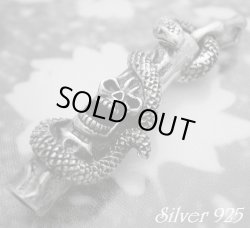 画像1: コイルスネイク叫びスカル　トップ