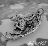 画像: コンドル　トップ