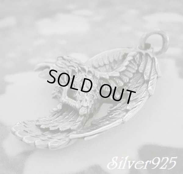 画像1: コンドル　トップ