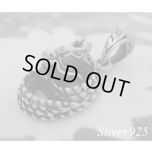 画像: ガーネットアイ龍　トップ 