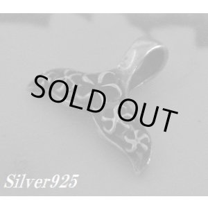 画像: プルメリアドルフィンテイル　トップ