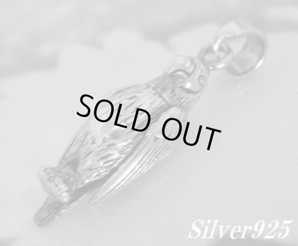 画像1: オウム　トップ