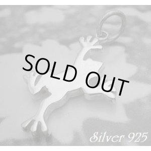 画像: かえる型プレート　トップ