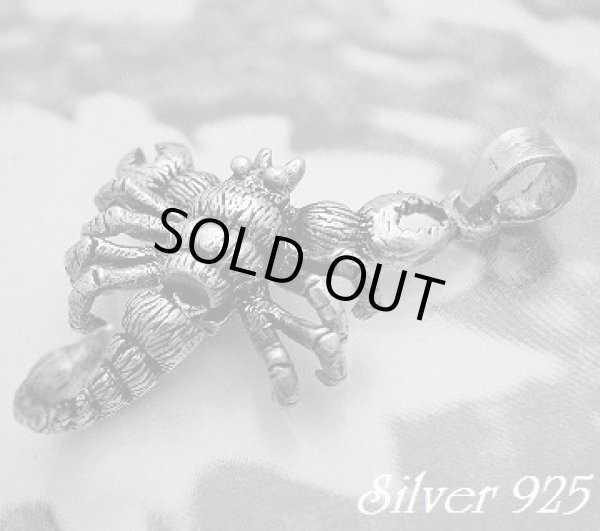 画像1: スコーピオン　トップ