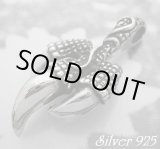 画像: ドラゴンネイル　トップ