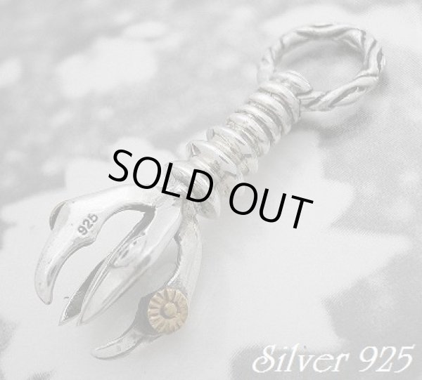 画像1: スパム　トップ