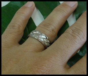 画像: ステンレスリング シェードメッシュ